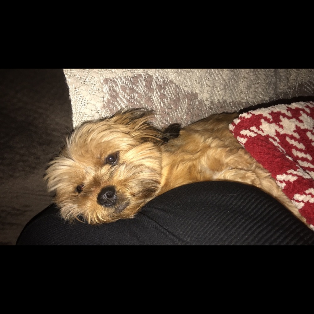 Meet your Posher, Chloe